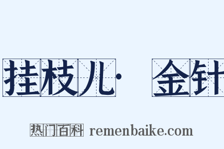 挂枝儿·金针是什么意思的图片